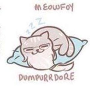 Meet your Posher, Aurora